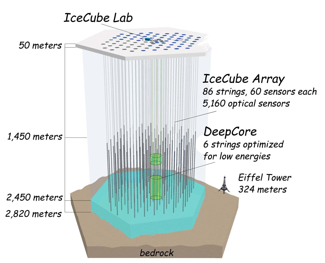 Fig. 1: The layout of IceCube.  At the surface is the IceCube Lab and "IceTop", a set of detectors whose purpose will be explained later. In 2.5 kilometer-log holes (now frozen solid) are placed long strings, with light-sensitive detectors in the bottom kilometer.