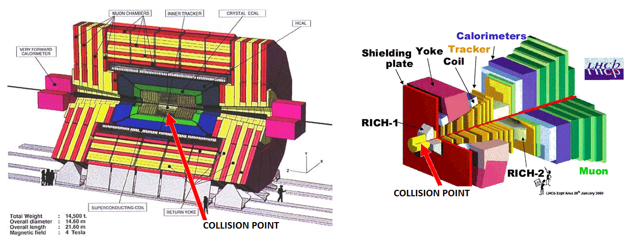 Left: Cut-away drawing of CMS, which is shaped like a barrel with proton-proton collisions occurring at its center.  ATLAS's shape is similar. Right: the LHCb experiment is shaped something like a wedge, with collisions occurring at one end.